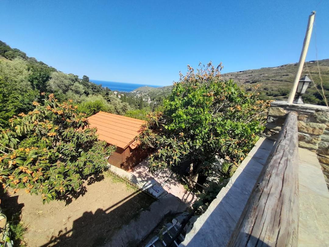 Casa Di Patouria , Stenies Andros Apikia  Esterno foto