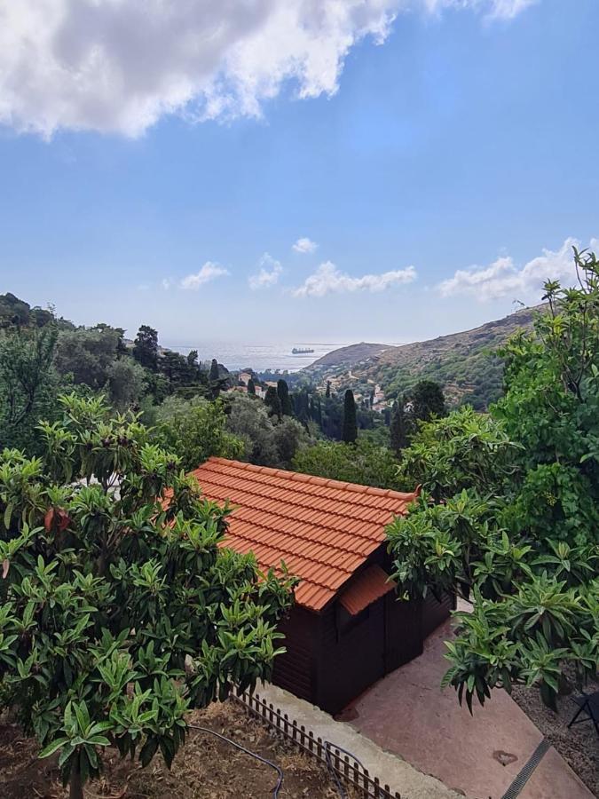 Casa Di Patouria , Stenies Andros Apikia  Esterno foto