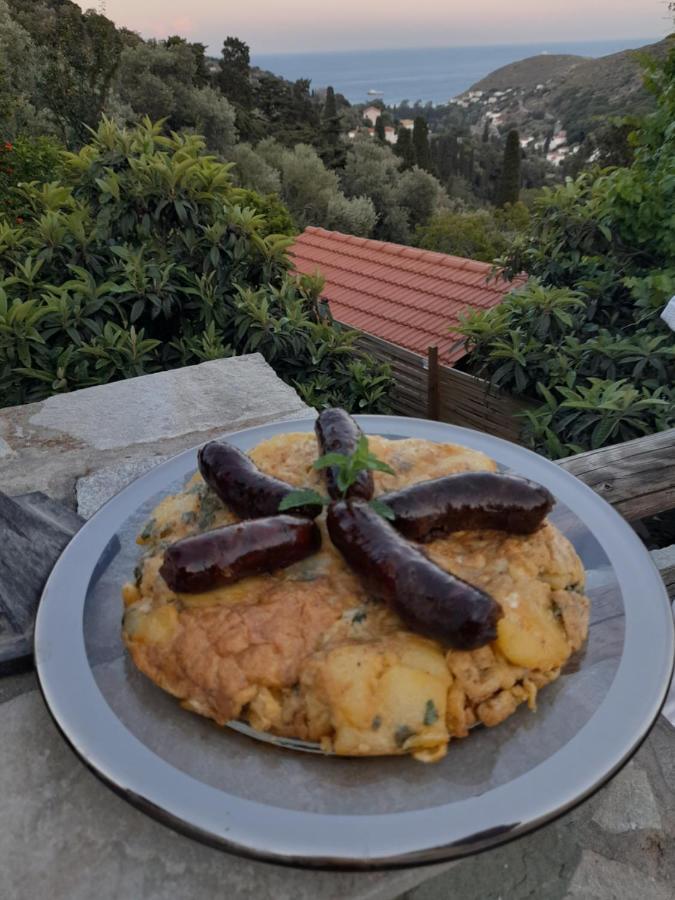 Casa Di Patouria , Stenies Andros Apikia  Esterno foto